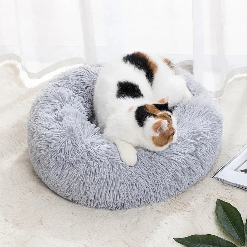 Super Plush Cloud Bed