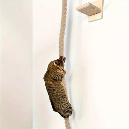 Cat Climbing Rope