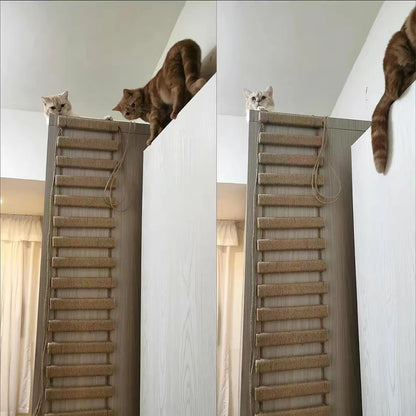 Kitty-Cat Climbing Rope Bridge