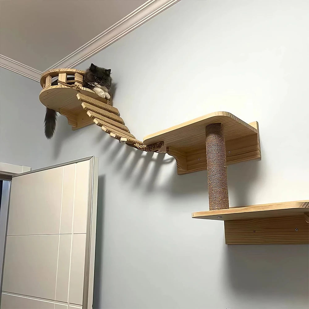 Kitty-Cat Climbing Rope Bridge