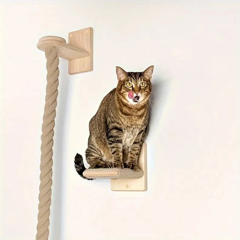 Cat Climbing Rope