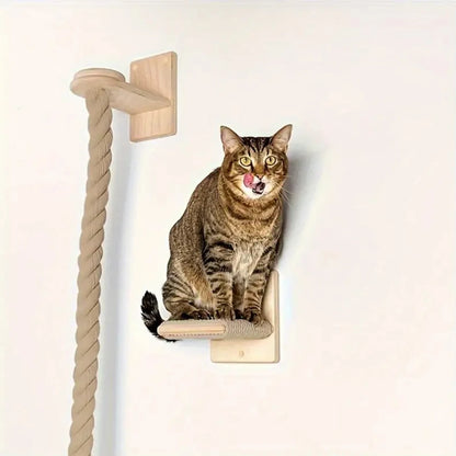 Cat Climbing Rope